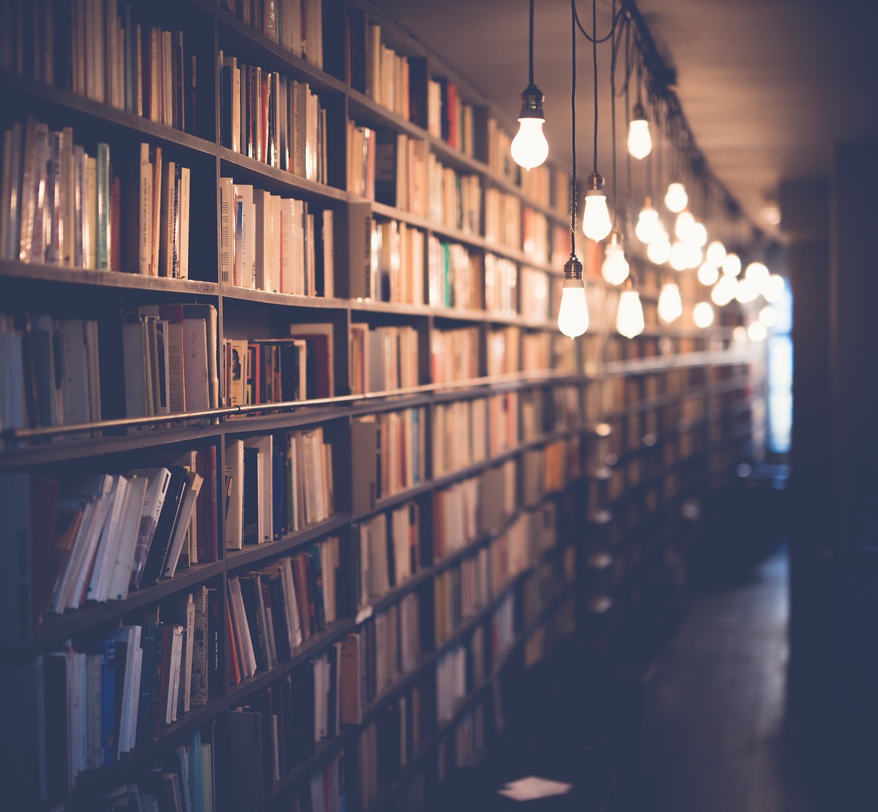 Library Reading